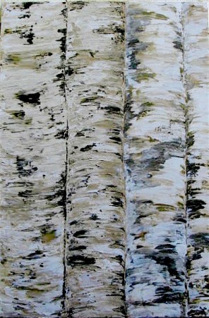 birch